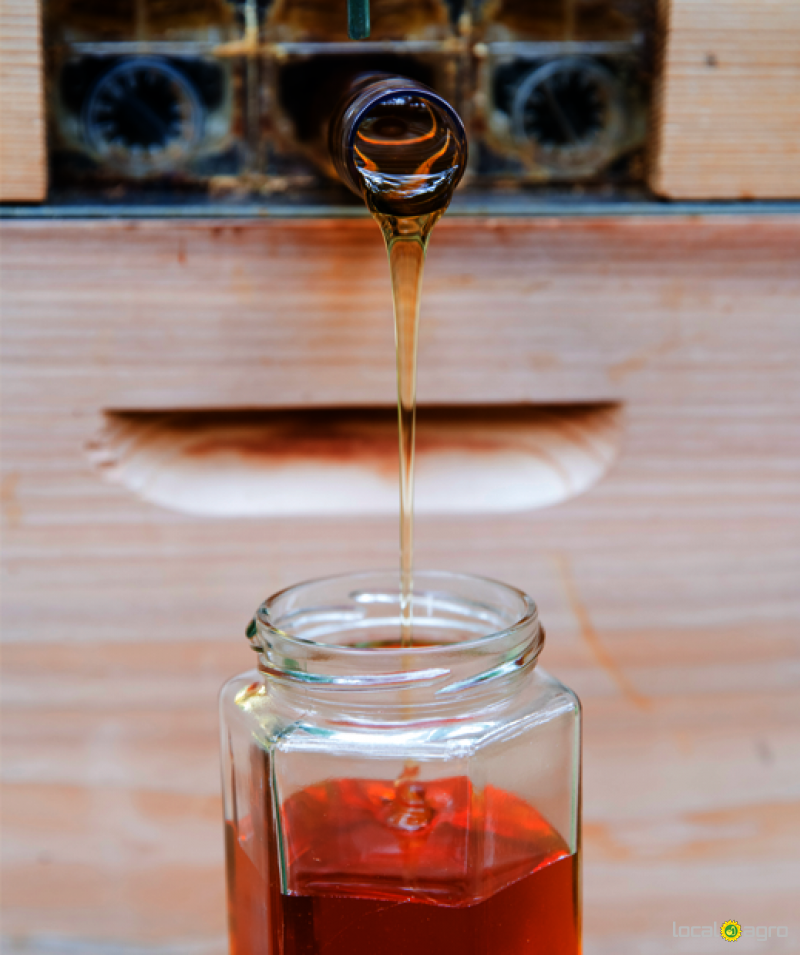 High quality medicated honey