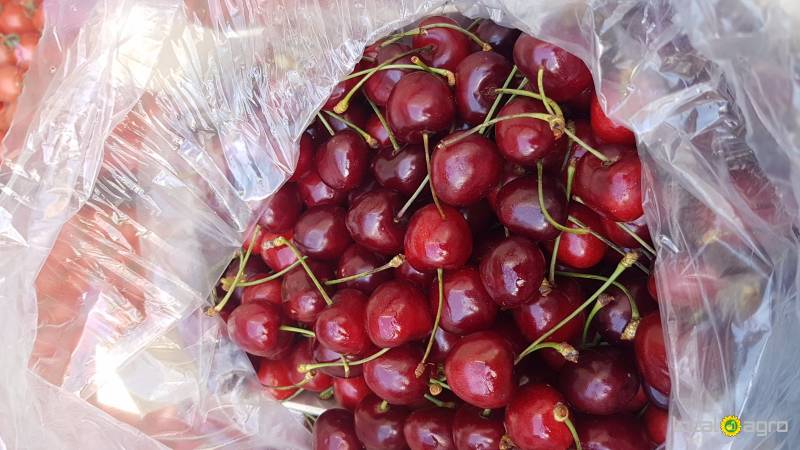 Cherries from Turkey