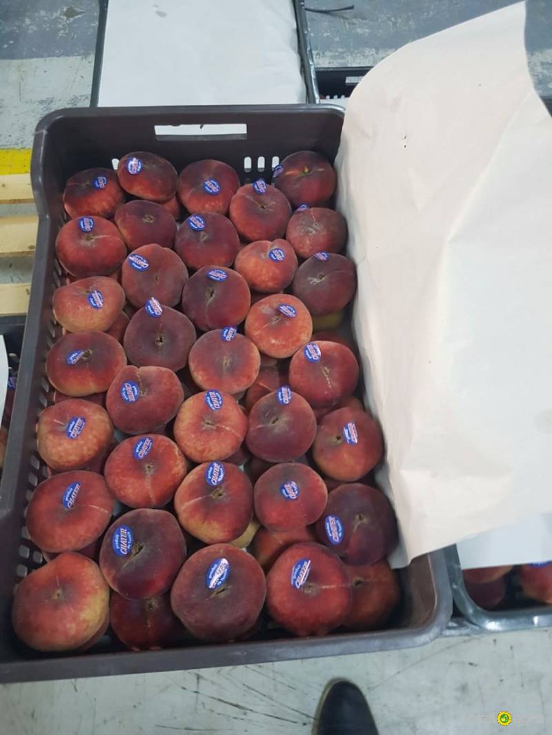 Peaches "FLAT" TUNISIA CALIBRE "A"
