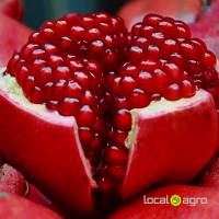 Fresh pomegranates Turkish