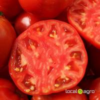 Fresh BEEF tomatoes ftom Tunisia