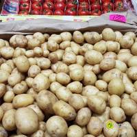 Potatoes from Israel (new crop)