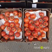 Branch tomatoes from Gvinea