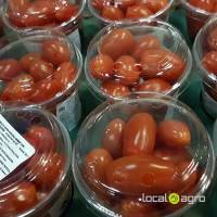 Fresh cherry tomatoes Spain