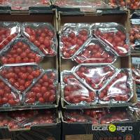 Cherry plum tomatoes 250g Morocco