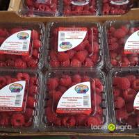Raspberries from Mexico (1 box 125g)