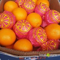 Egyptian oranges of the sort Valencia