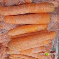 Carrots (cleaned) from Belorussia