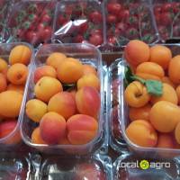 Apricotes from Spain