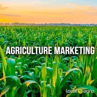 agriculture-marketing